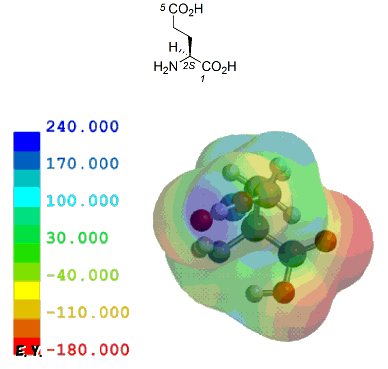 O^~_iL-Glutamic Acidj