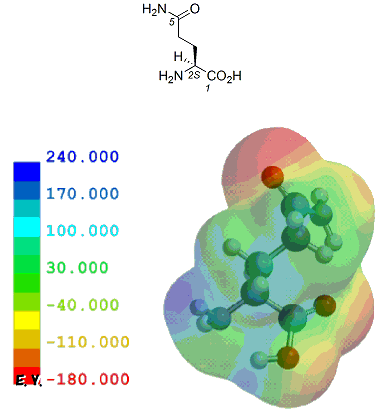 O^~iL-Glutaminej