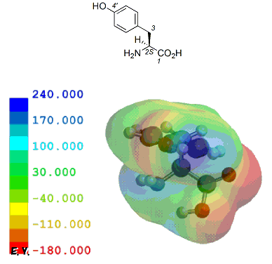 `ViL-Tyrosinej